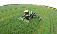 ProNitro® helps seeds and sward survive a drought  